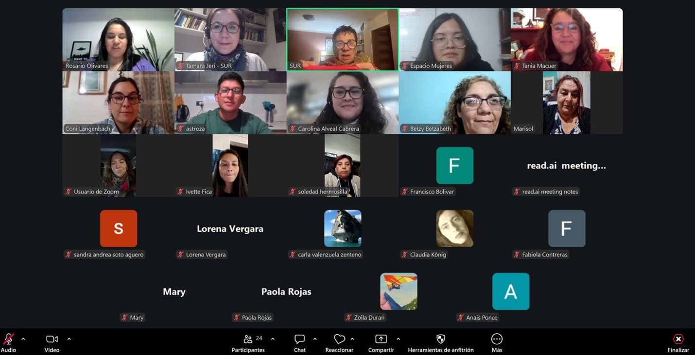 Pantallazo de segunda sesión online junto a participantes Escuela de Liderazgo Territorial.